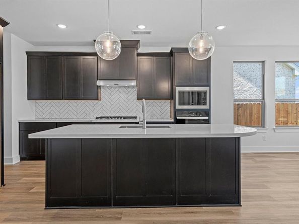 1009  Malachite Way , Oak Point Texas 75068
