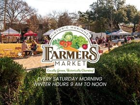 1013  Sherman Street , McKinney Texas 75069