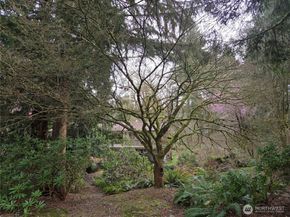 4725 272nd Avenue NE, Redmond WA 98053