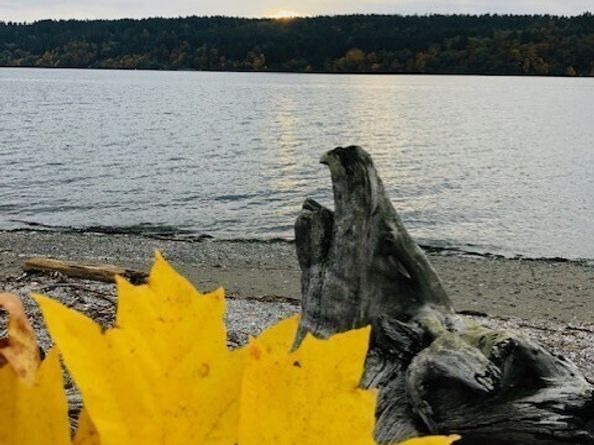 27728 Manzanita Beach Rd SW, Vashon WA 98070