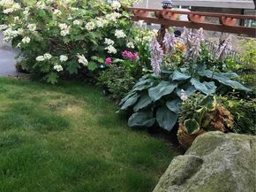 4322 29th Avenue W, Seattle WA 98199