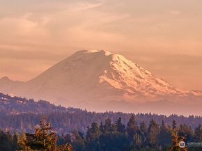 9642 Hilltop Road, Bellevue WA 98004