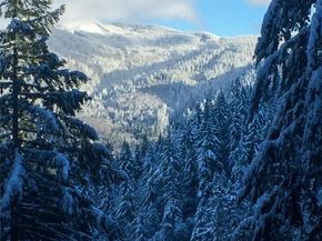 2310 Squak Mountain Loop SW, Issaquah WA 98027