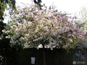 13801 59th Ave SE, Everett WA 98208