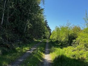 12426 NE Phillip Drive S, Kingston WA 98346