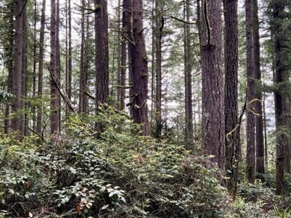 135 NW Walker Road, Poulsbo WA 98370