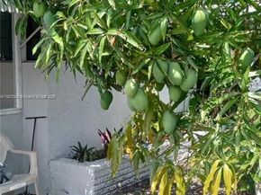 3161 NW 5th St, Lauderhill FL 33311