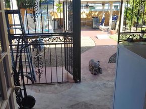 1315 NW 196th Ter, Miami Gardens FL 33169