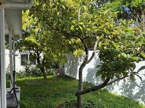 4481 NW 163rd St, Miami Gardens FL 33054