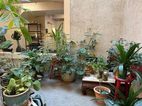 60 E Glen Rd 306, Brookline MA 02445