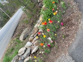 511 E County Rd, Rutland MA 01543