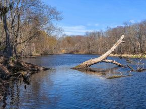 4 6th St, Ipswich MA 01938
