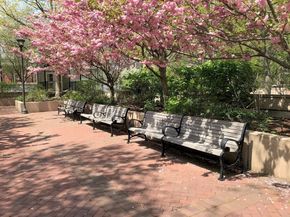 9 Hawthorne Place 2J, Boston MA 02114