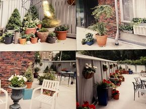 19 Winchester St 110, Brookline MA 02446