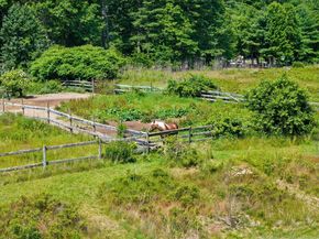 18 Russell Holmes Way, Carver MA 02330