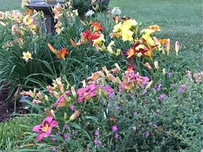 31 Pinedale Rd, Athol MA 01331