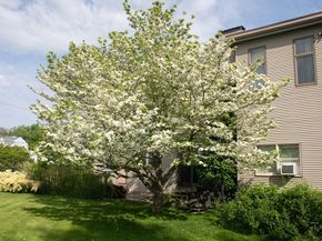 8 Goldfinch Way, Ipswich MA 01938