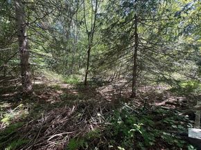 44 Federal Street, Blackstone MA 01504