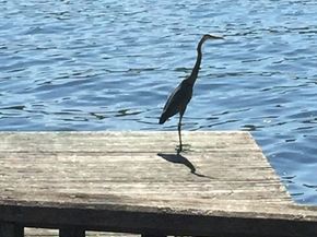 18 Lakeshore Drive, Hopkinton MA 01748