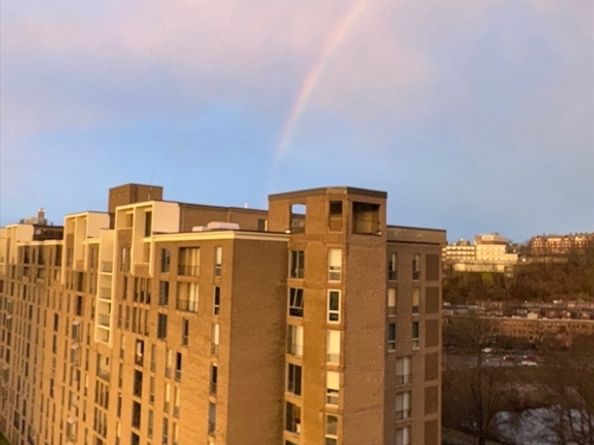 77 Pond Avenue 1207, Brookline MA 02445