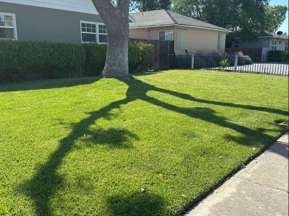 964 Princess Anne Drive, San Jose CA 95128
