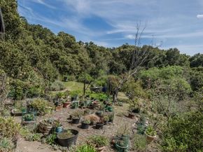 640 Los Trancos Road, Palo Alto CA 94304