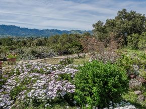 640 Los Trancos Road, Palo Alto CA 94304