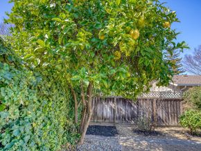 3364 Merrimac Drive, San Jose CA 95117