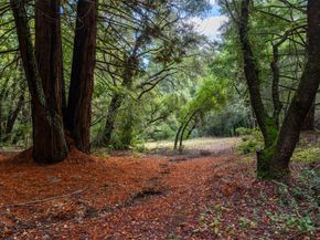 188 Kelly Lane, Santa Cruz CA 95060