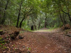 188 Kelly Lane, Santa Cruz CA 95060