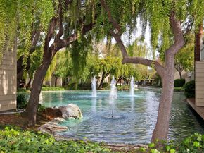 905 W Middlefield Road 917, Mountain View CA 94043