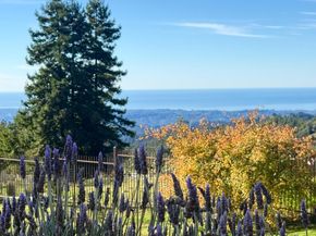 1061 Summit Road, Watsonville CA 95076