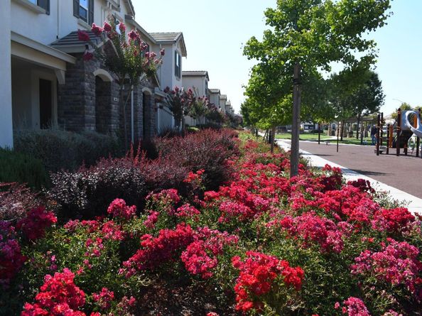 19051 Chicory Lane, Morgan Hill CA 95037