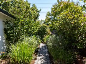 1494 Kings Lane, Palo Alto CA 94303