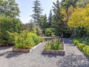 11981 Magdalena Avenue, Los Altos Hills CA 94024