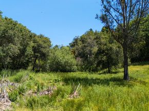 3554 Paul Sweet Road, Santa Cruz CA 95065