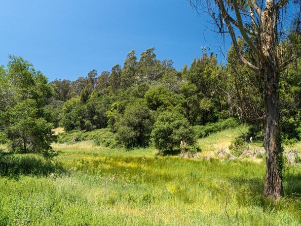 3554 Paul Sweet Road, Santa Cruz CA 95065