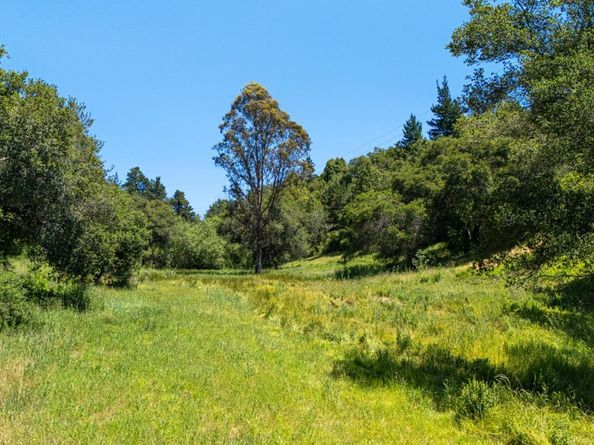 3554 Paul Sweet Road, Santa Cruz CA 95065