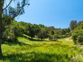 3554 Paul Sweet Road, Santa Cruz CA 95065