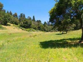 3554 Paul Sweet Road, Santa Cruz CA 95065