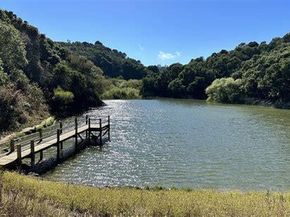 1720 Francis Court, Belmont CA 94002