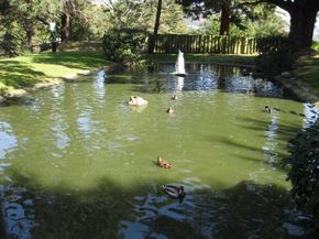 377 Mandarin Drive 204, Daly City CA 94015