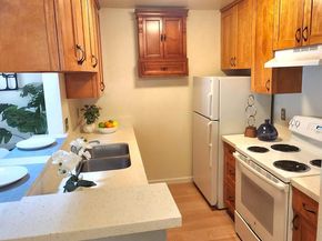 377 Mandarin Drive 204, Daly City CA 94015