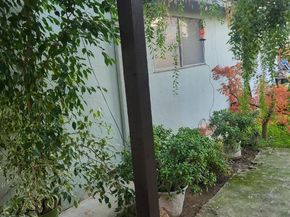 908 Marilyn Drive, Campbell CA 95008