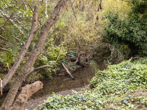 1416 Flores Drive, Pacifica CA 94044