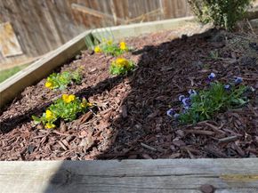 5621 S Ireland Street, Centennial CO 80015