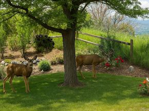 11715 W 18th Avenue, Lakewood CO 80215