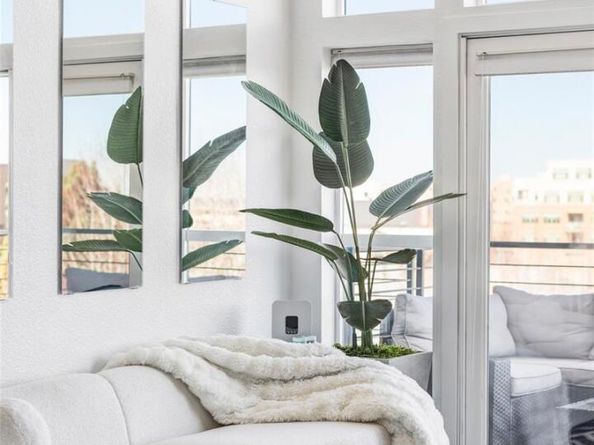 7240 W Custer Avenue 409, Lakewood CO 80226