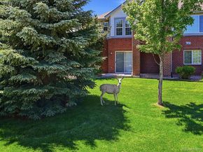 22462 E Alder Drive, Aurora CO 80016