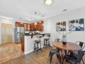 3101 Blake Street 209, Denver CO 80205